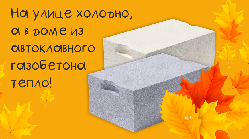 Осень в Красноярске 2025