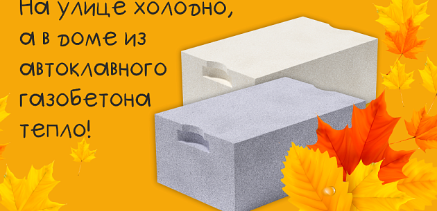 Осень в Красноярске 2025